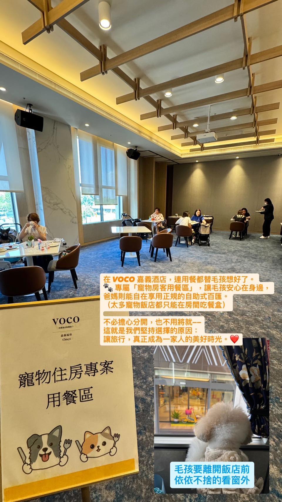 何時旅遊，帶著毛孩出門，終於不用一直說不好意思，寵物