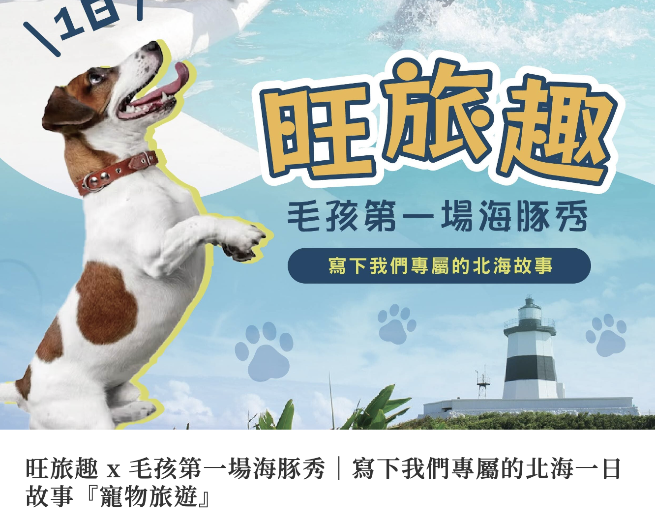旺旅趣 x 毛孩第一場海豚秀｜寫下我們專屬的北海一日故事『寵物旅遊』