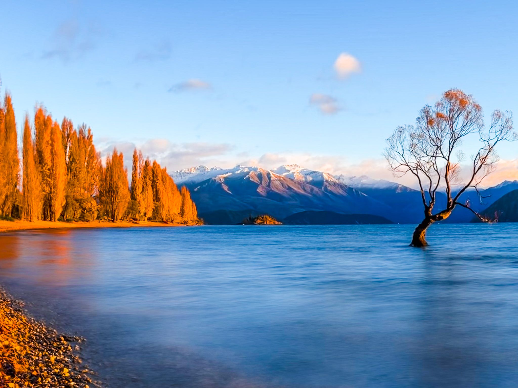 2026紐西蘭旅遊講座 | 何時旅遊 台北限定場