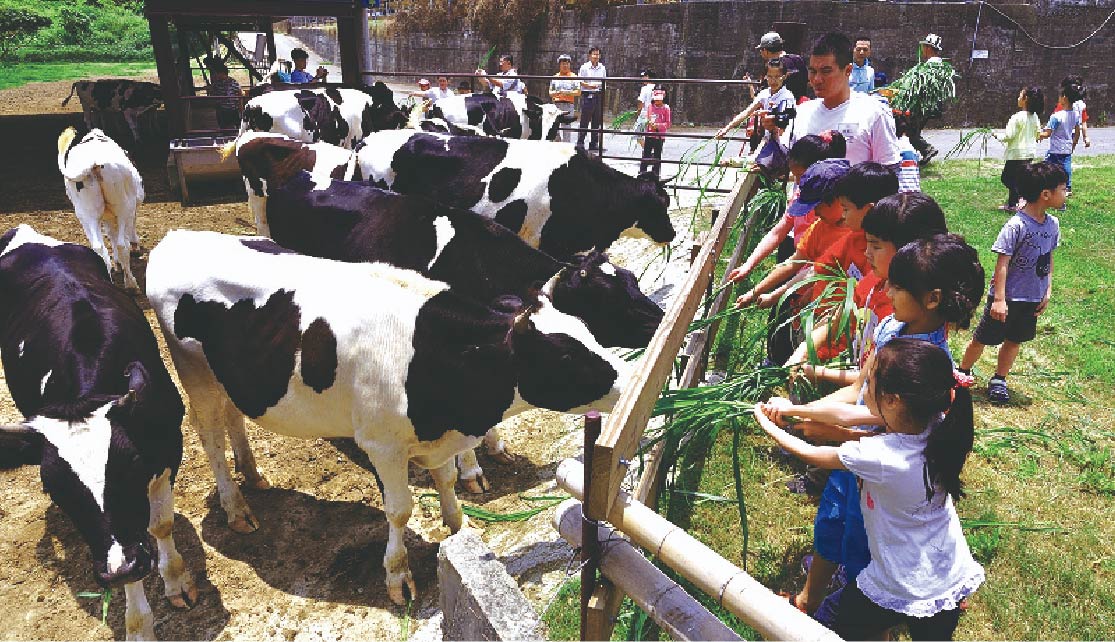 ｜馬上啟程賀歲｜祈福泡麵香．山光悠活趣